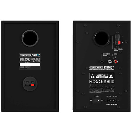 Enceintes DSM-3 BT — panneau arrière avec entrées RCA et sortie subwoofer